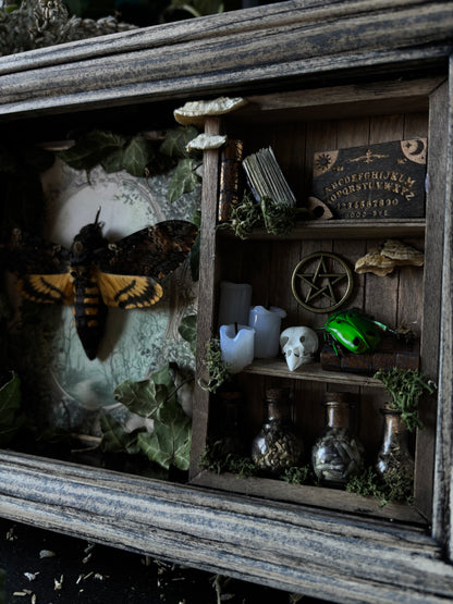 „Witches lair“ Apothecary cabinet - Acherontia Atropos