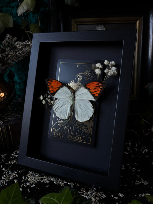 The fool frame (18x13cm)