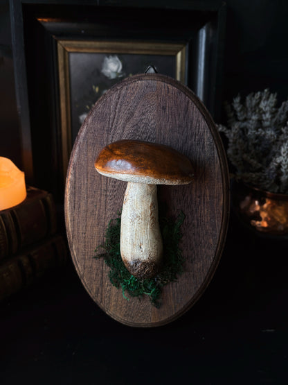 Porcini Mushroom - Polymer Clay Mushroom (21,5x14cm)