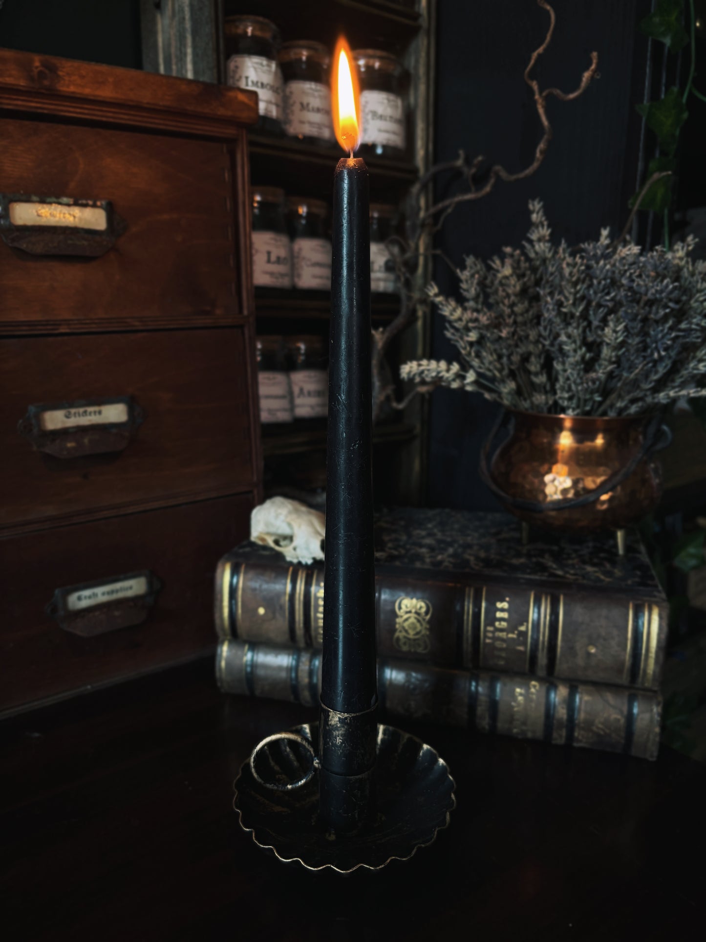 Shell Candle Holder