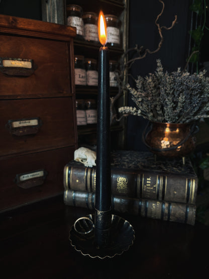 Shell Candle Holder
