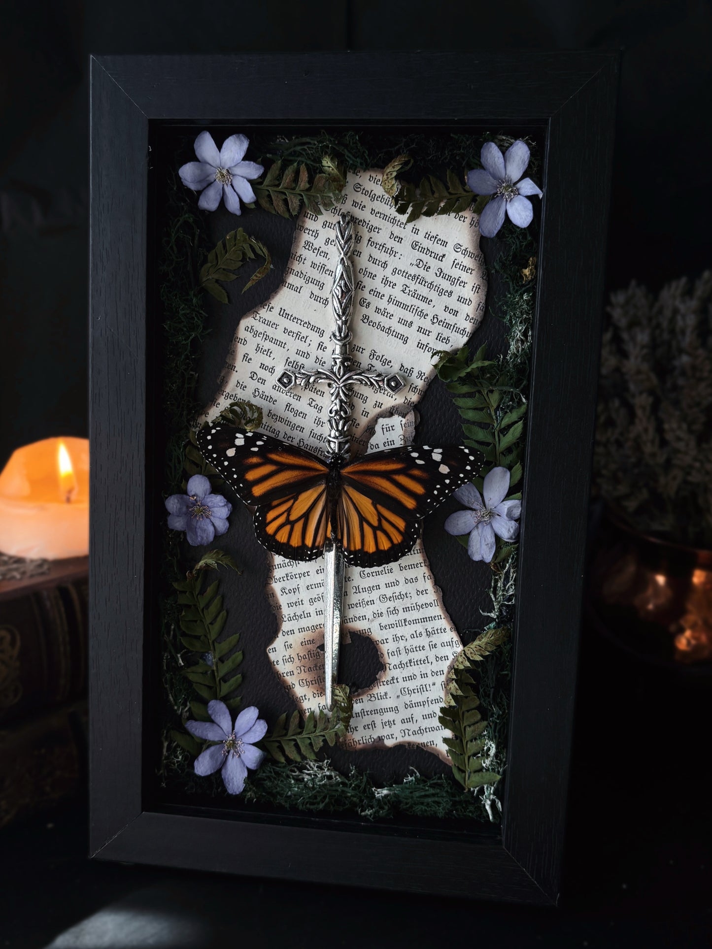 Sword Frame – Danaus plexippus (22x12cm)
