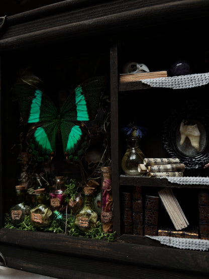 Miniature Witch’s Apothecary Shadow Box | Butterfly Curio Cabinet (23x18cm)
