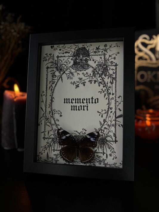 Memento Mori Gothic Frame | Hypolimnas bolina (18x13cm)