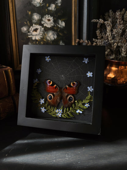 "Forget me not" - Inachis io (10x10cm)