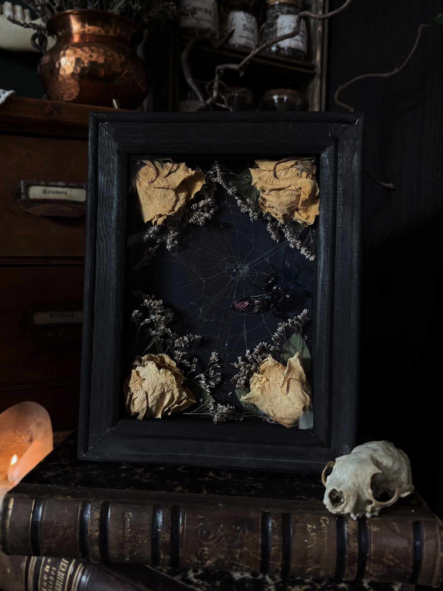 “Widow’s Garden” | Giant Carpenter Bee in Web with White Roses (23x18 cm)