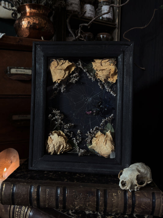 “Widow’s Garden” | Giant Carpenter Bee in Web with White Roses (23x18 cm)