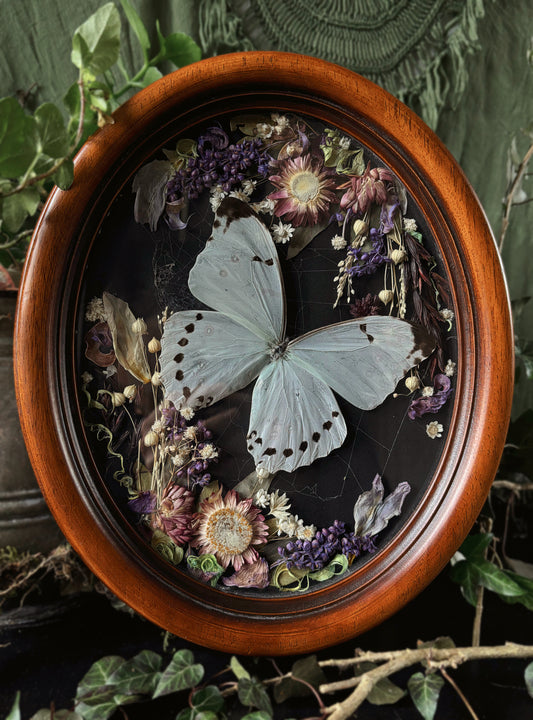 XL brass wooden Frame - Morpho Luna