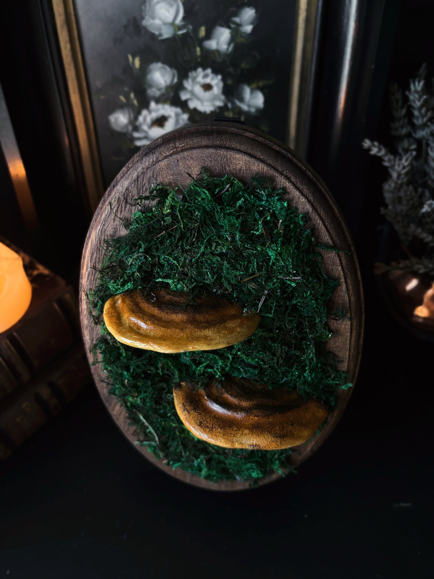 Shelf Mushroom - Polymer Clay Mushroom (21,5x14cm)