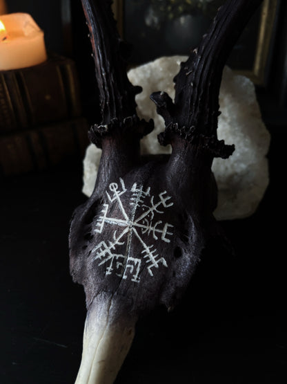Vegvisir Deer Skull | Handcarved & Painted Bone Art