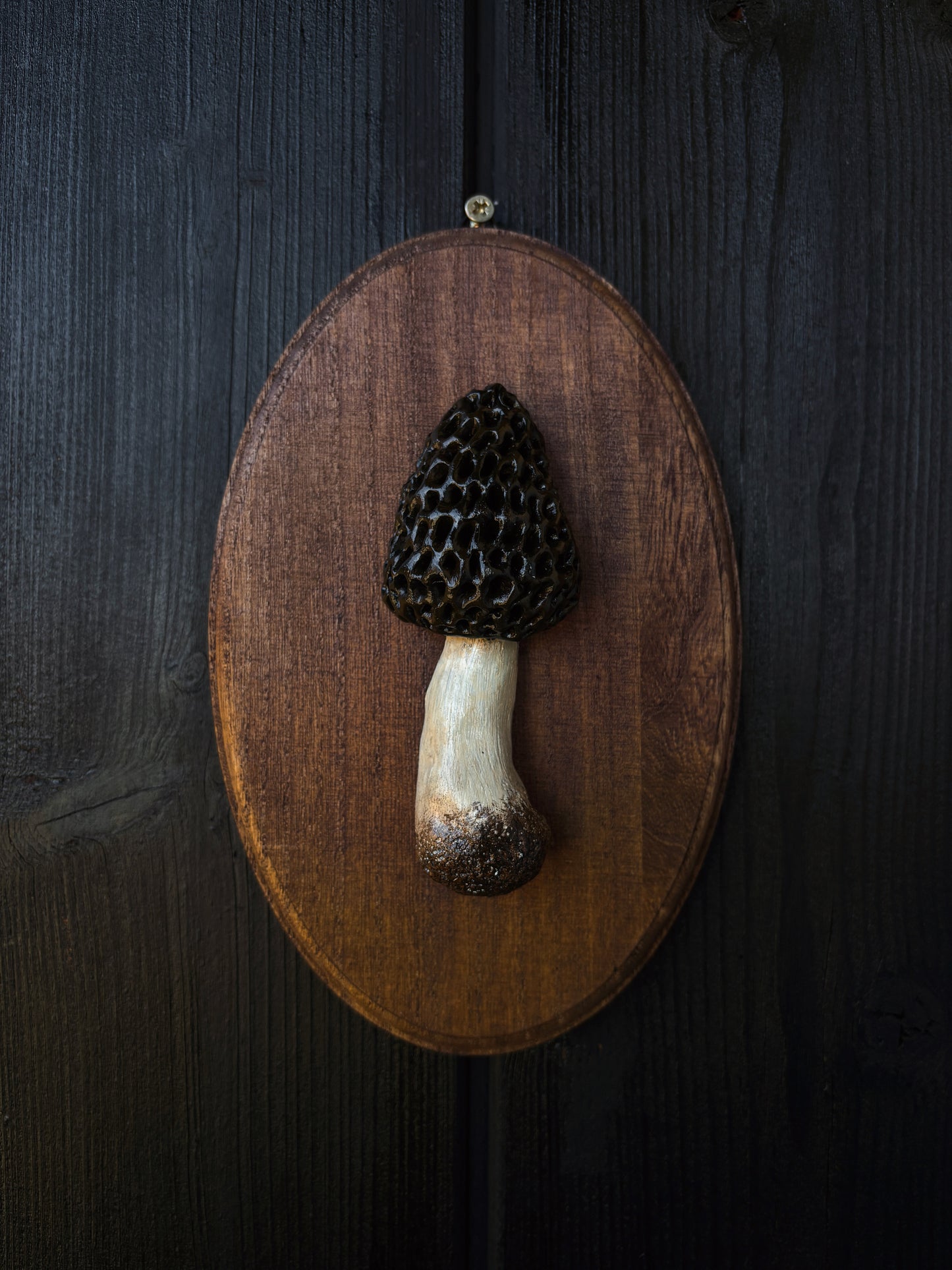 Morel Mushroom - Polymer Clay Mushroom (21,5x14cm)