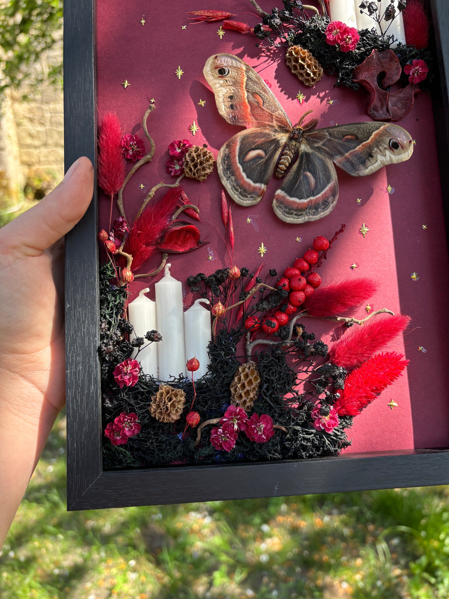 „Crimson Forest“ - Cecropia moth (30x20cm) (Kopie)