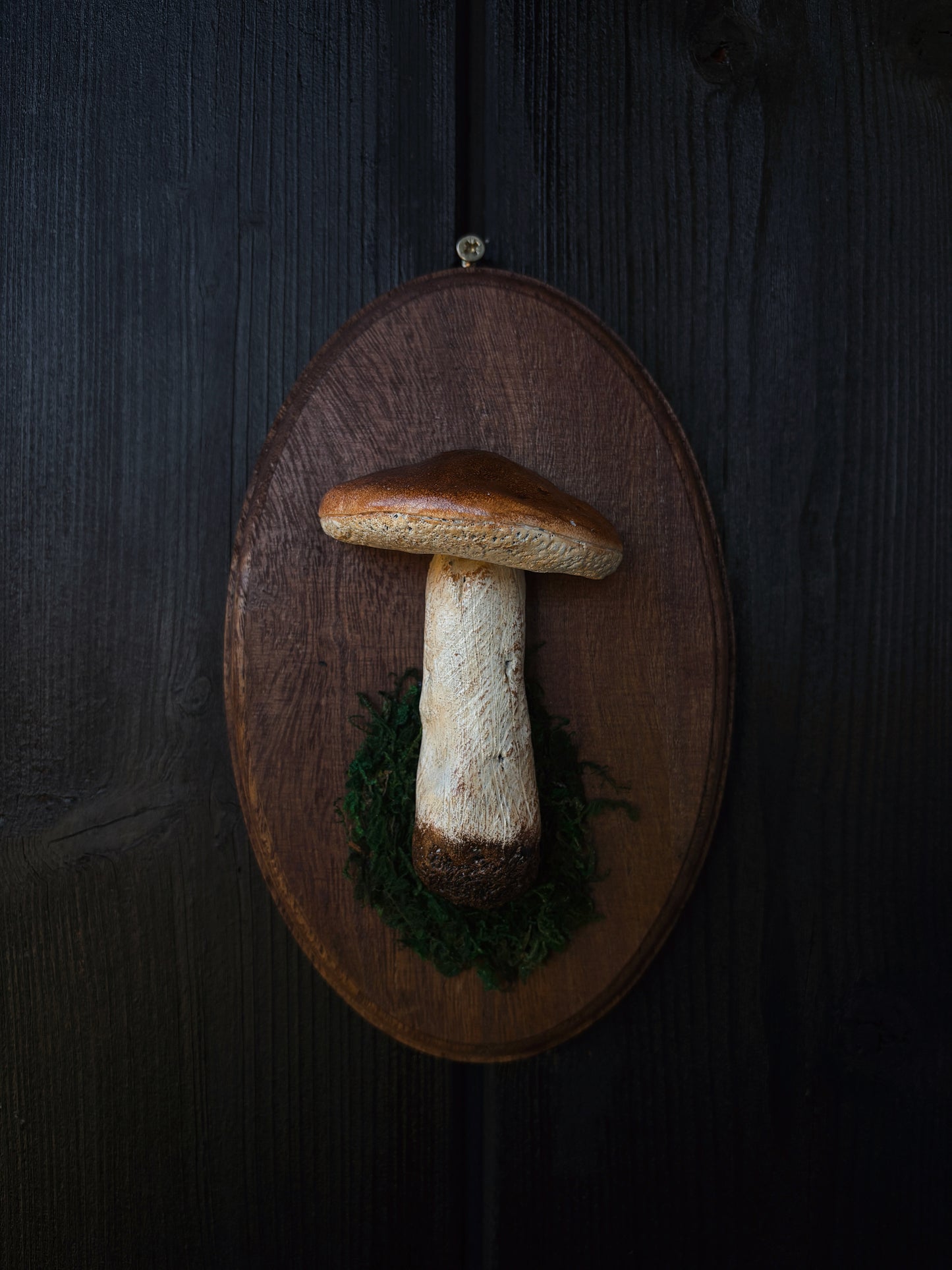 Porcini Mushroom - Polymer Clay Mushroom (21,5x14cm)