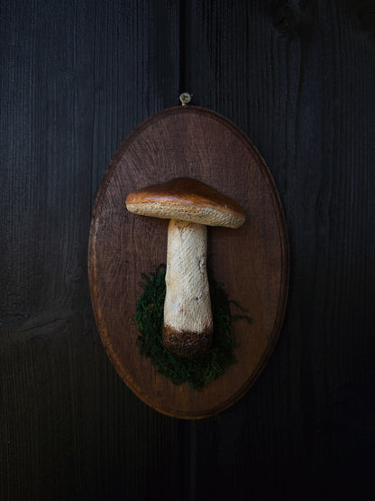 Porcini Mushroom - Polymer Clay Mushroom (21,5x14cm)