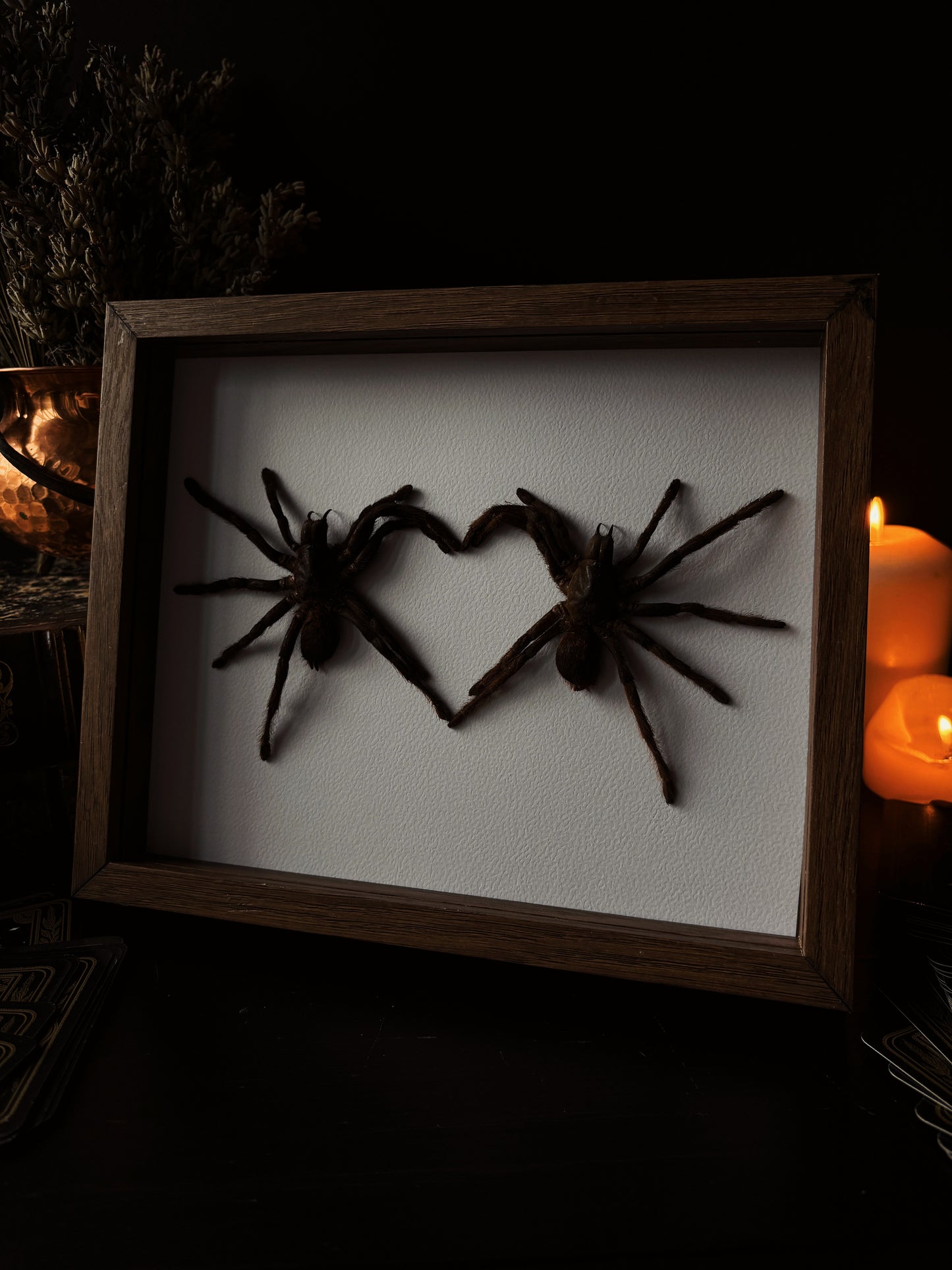 🕷️ Tarantula Heart Frame (20x15 cm)