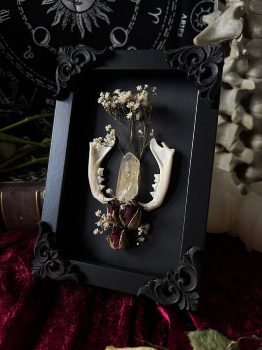 Ornament Frame - cat jaw