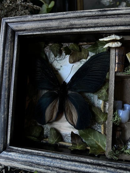 „Witches lair“ Apothecary cabinet