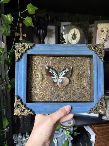 “Celestial Wings” – Framed Butterfly on Baroque Moonlit Tapestry (23x18cm)