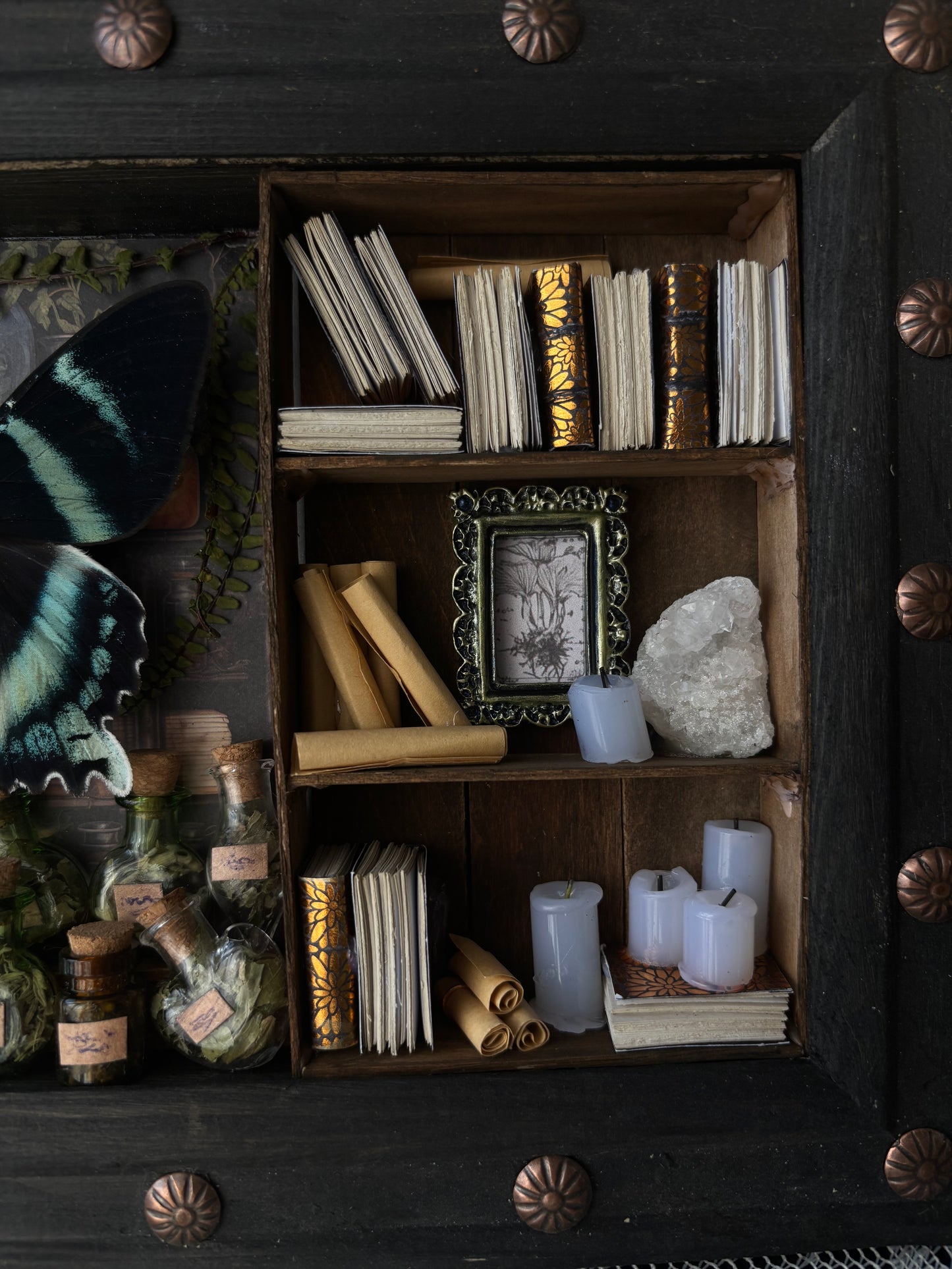 „Alchemy“ – Miniature Witch’s Cabinet - Alcides orontes (23x18cm)