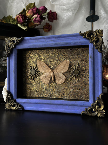 “Solar Reverie” – Framed Moth on Golden Sunlit Tapestry (23x18cm)