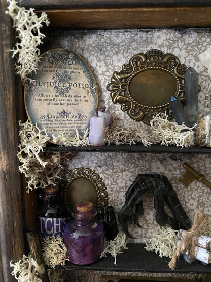 Witchy oddity shelf #4