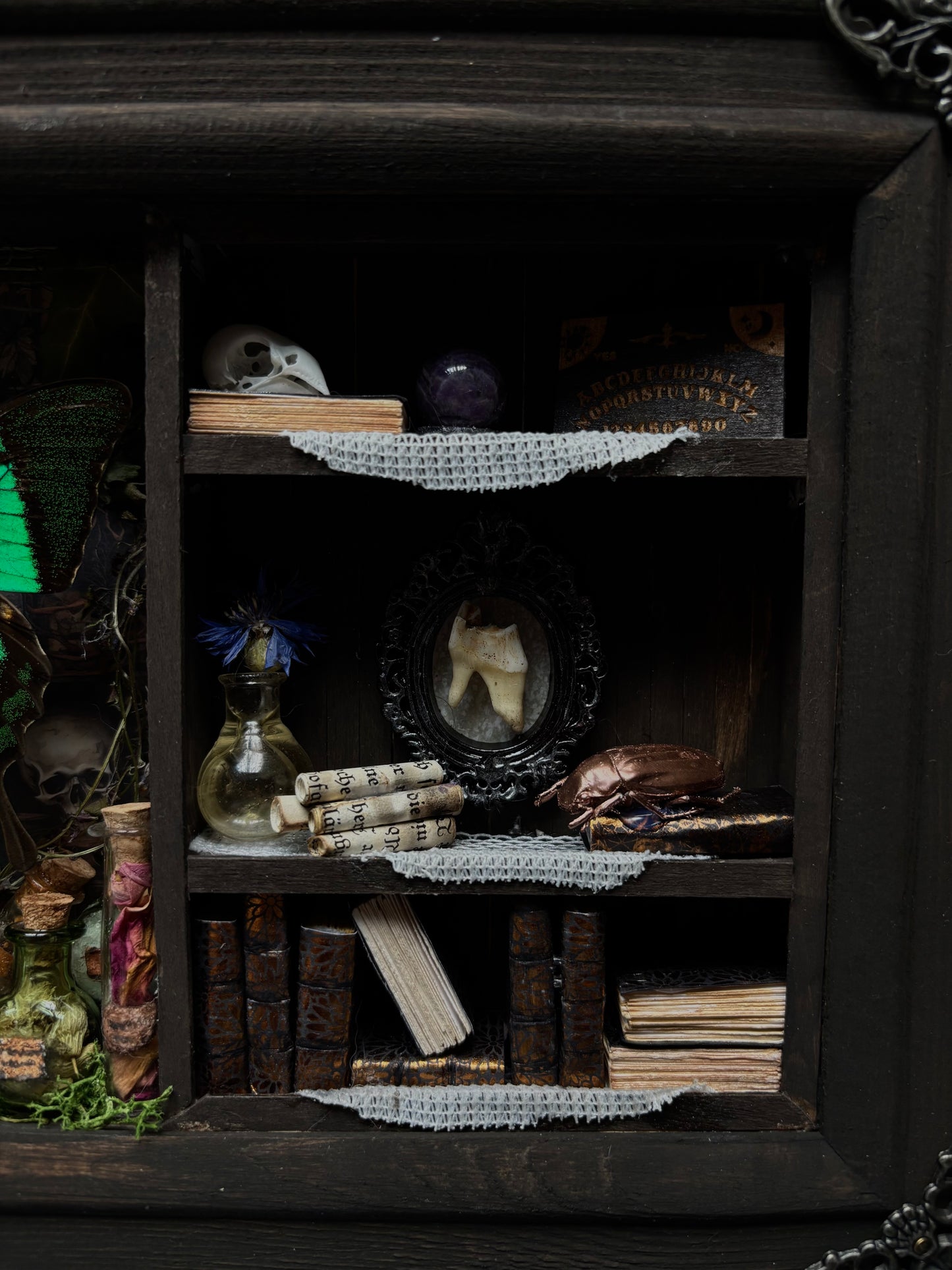 Miniature Witch’s Apothecary Shadow Box | Butterfly Curio Cabinet (23x18cm)