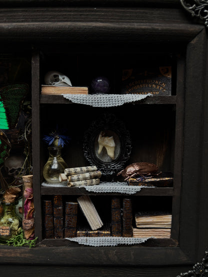 Miniature Witch’s Apothecary Shadow Box | Butterfly Curio Cabinet (23x18cm)