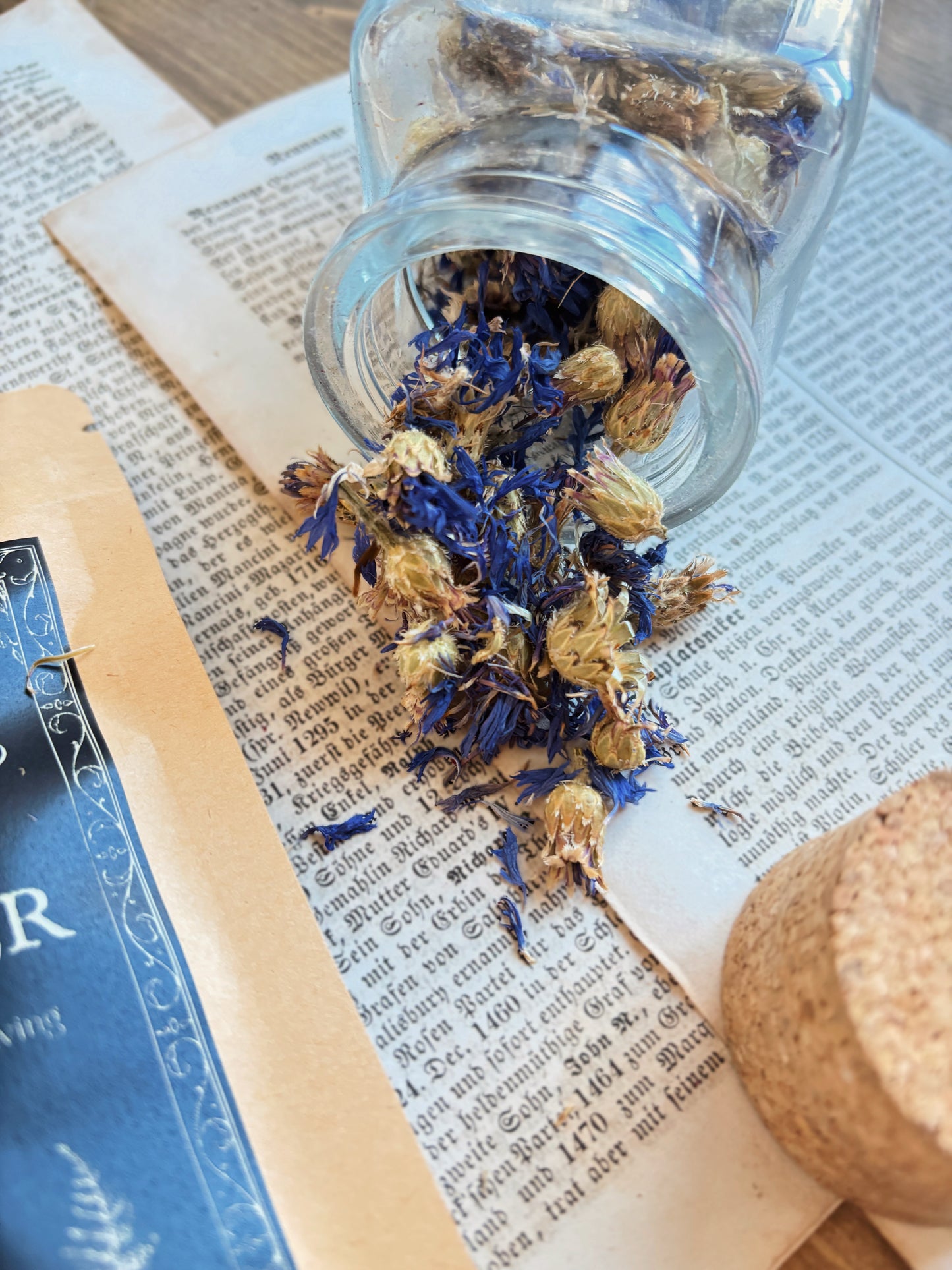 CORNFLOWER ✦ dried flowers (15g)