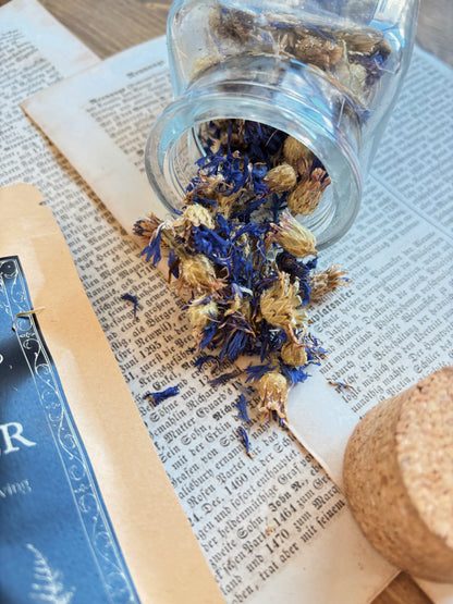 CORNFLOWER ✦ dried flowers (15g)