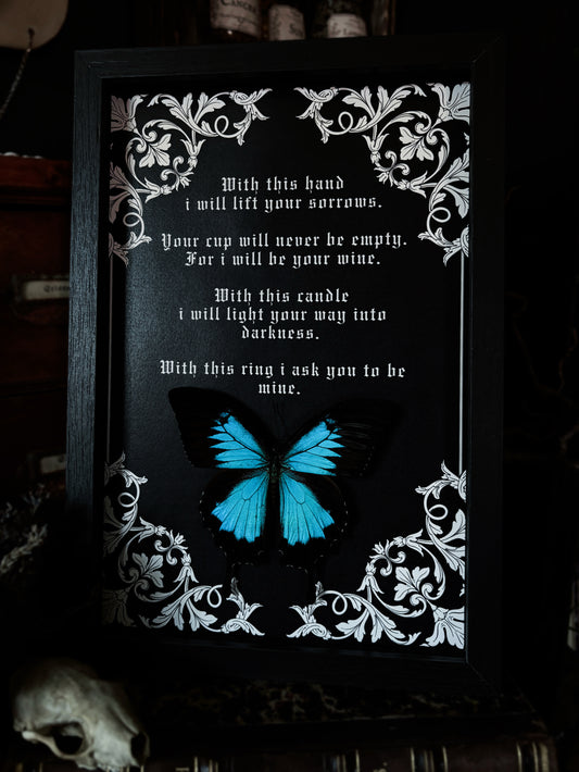 „Corpse bride" inspired - Papilio ulysses / the mountain swallowtail (30x25cm)