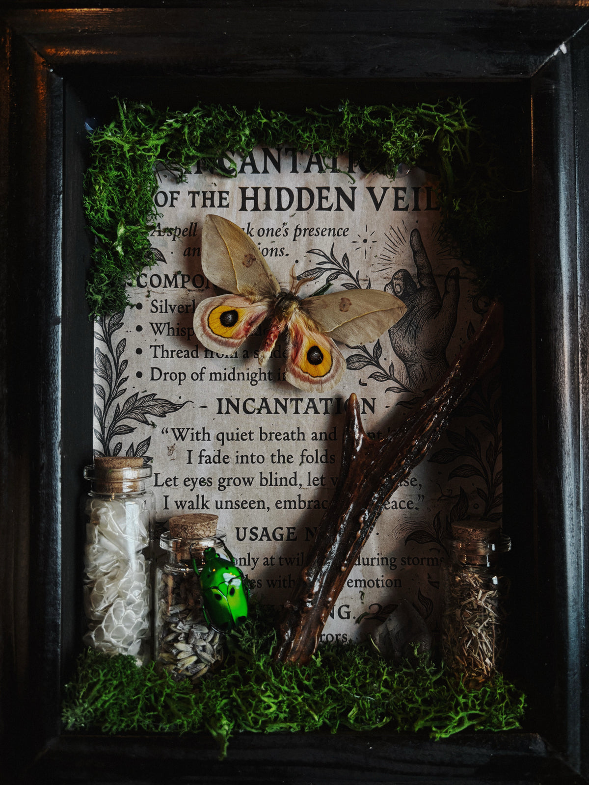 "Incantation of the Hidden Veil" – Automeris cecrops (23x18cm)