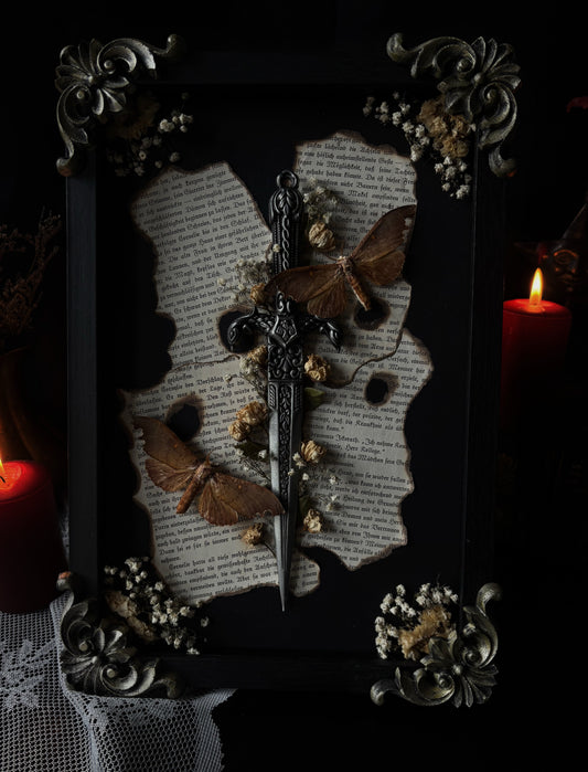 Whispers of Metamorphosis - Euhampsonia sp. (30x25cm)