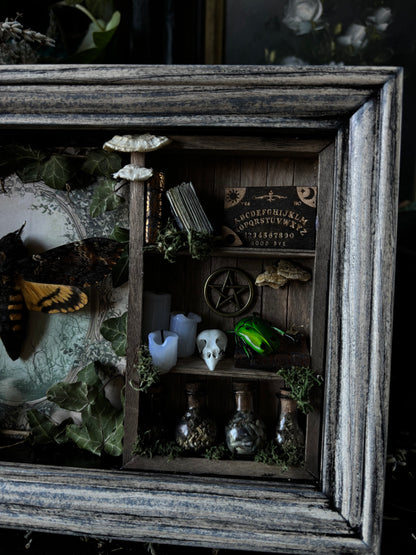 „Witches lair“ Apothecary cabinet - Acherontia Atropos