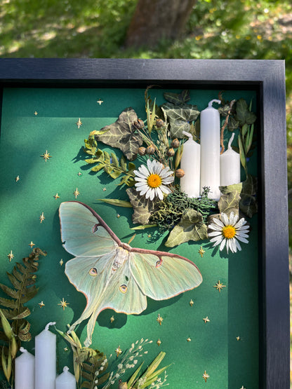 „Spring Grass“ - Luna moth (30x20cm)