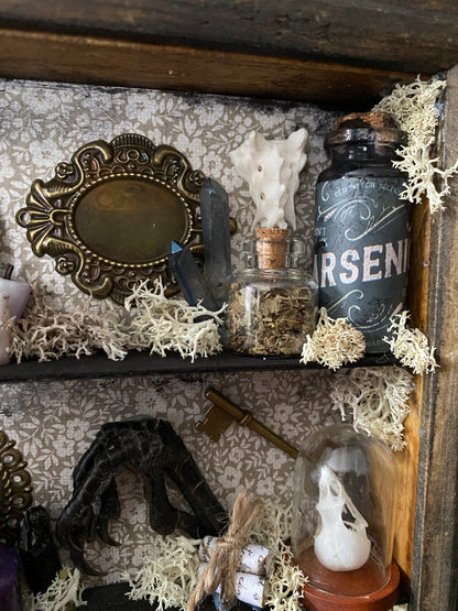 Witchy oddity shelf #4