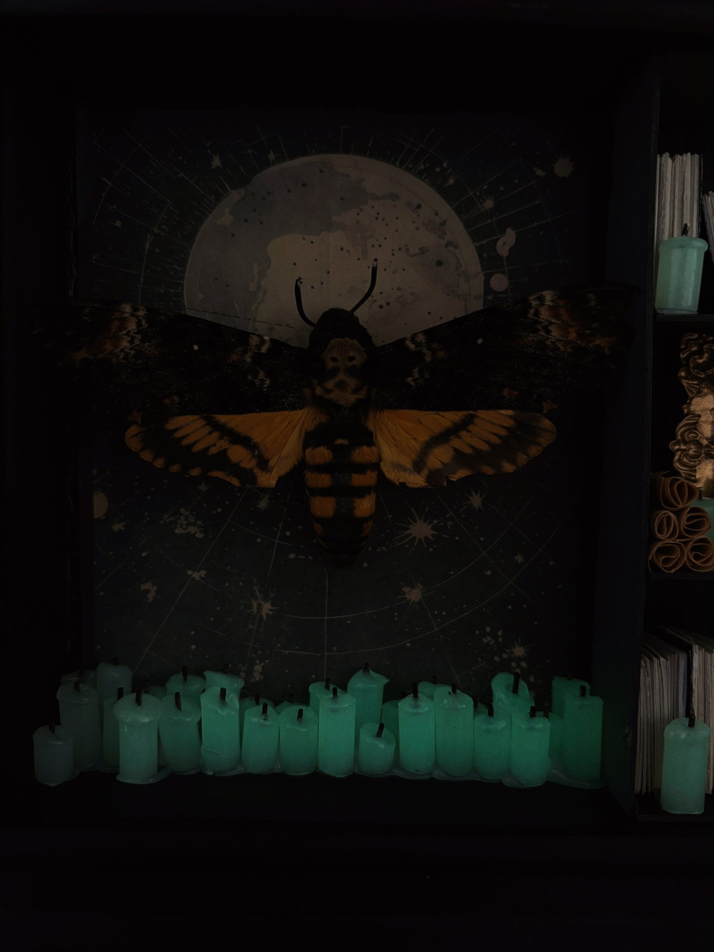 Moonlight Cabinet – Miniature Witch’s Cabinet – Acherontia atropos (23x18cm)
