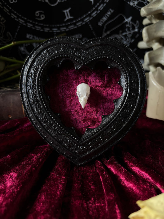 Heart frame - bird skull