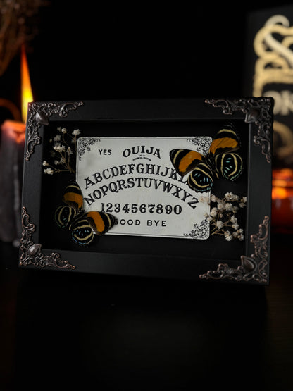 Ouijah board |  Callicore Aegina (15x10cm)