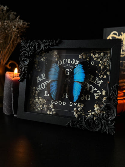 Gothic Ouijah Shadow Box | Morpho Achilles (20x15cm)