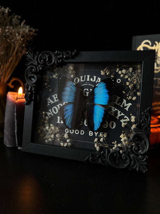 Gothic Ouijah Shadow Box | Morpho Achilles (20x15cm)