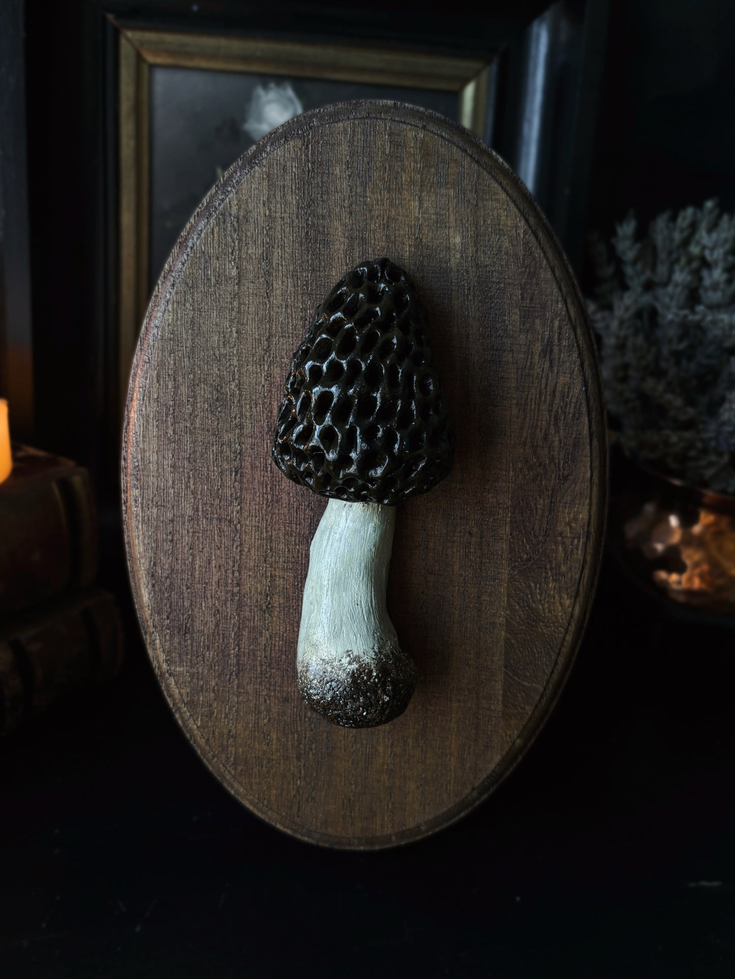 Morel Mushroom - Polymer Clay Mushroom (21,5x14cm)
