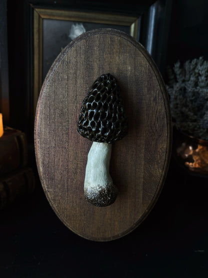 Morel Mushroom - Polymer Clay Mushroom (21,5x14cm)