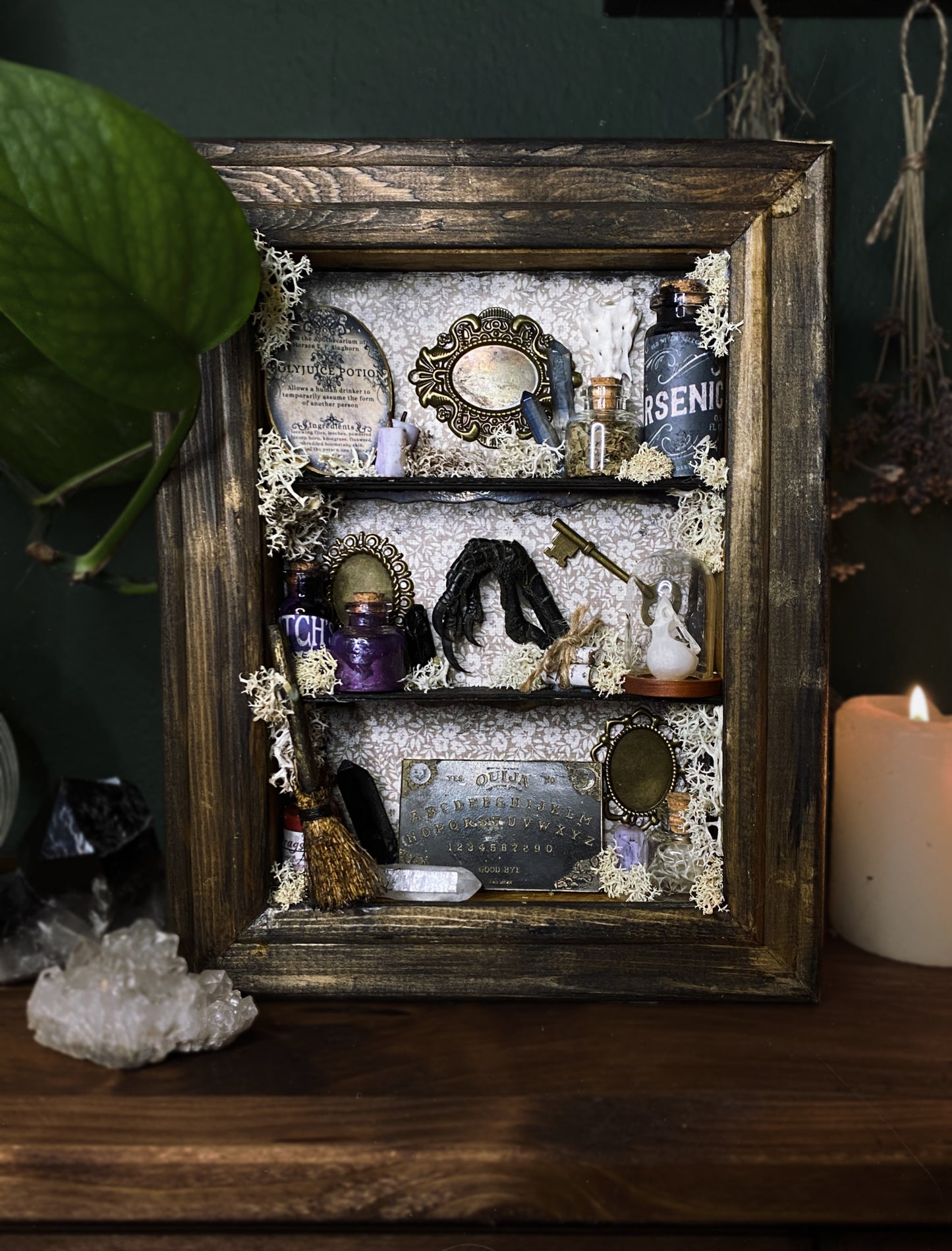 Witchy oddity shelf #4