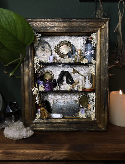 Witchy oddity shelf #4