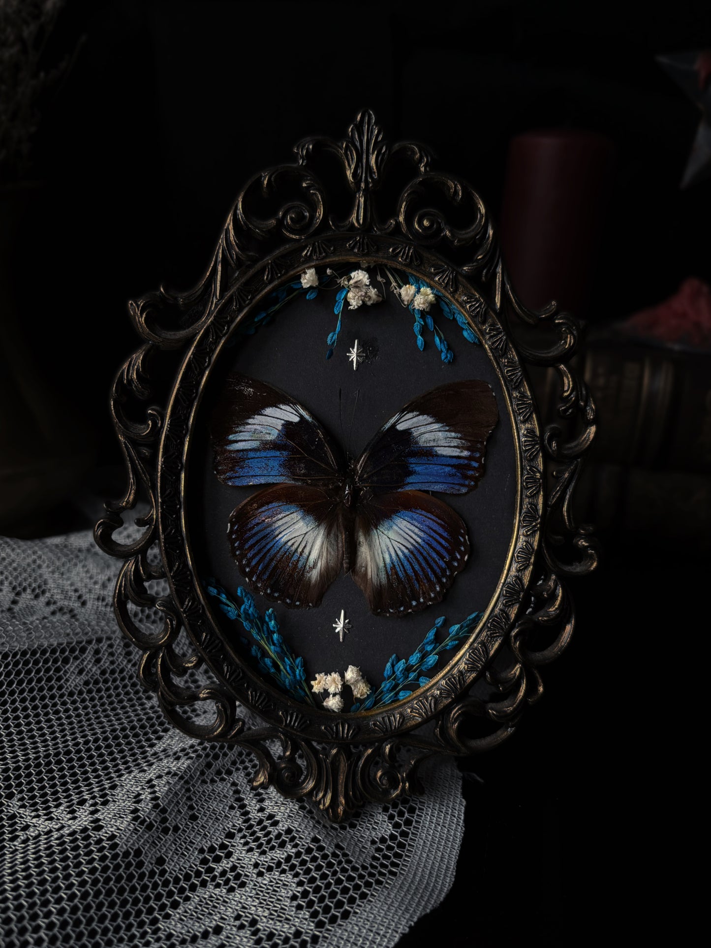 Hypolimnas salmacis (Vintage)