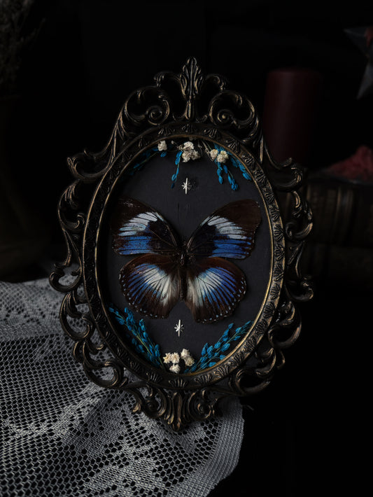 Hypolimnas salmacis (Vintage)