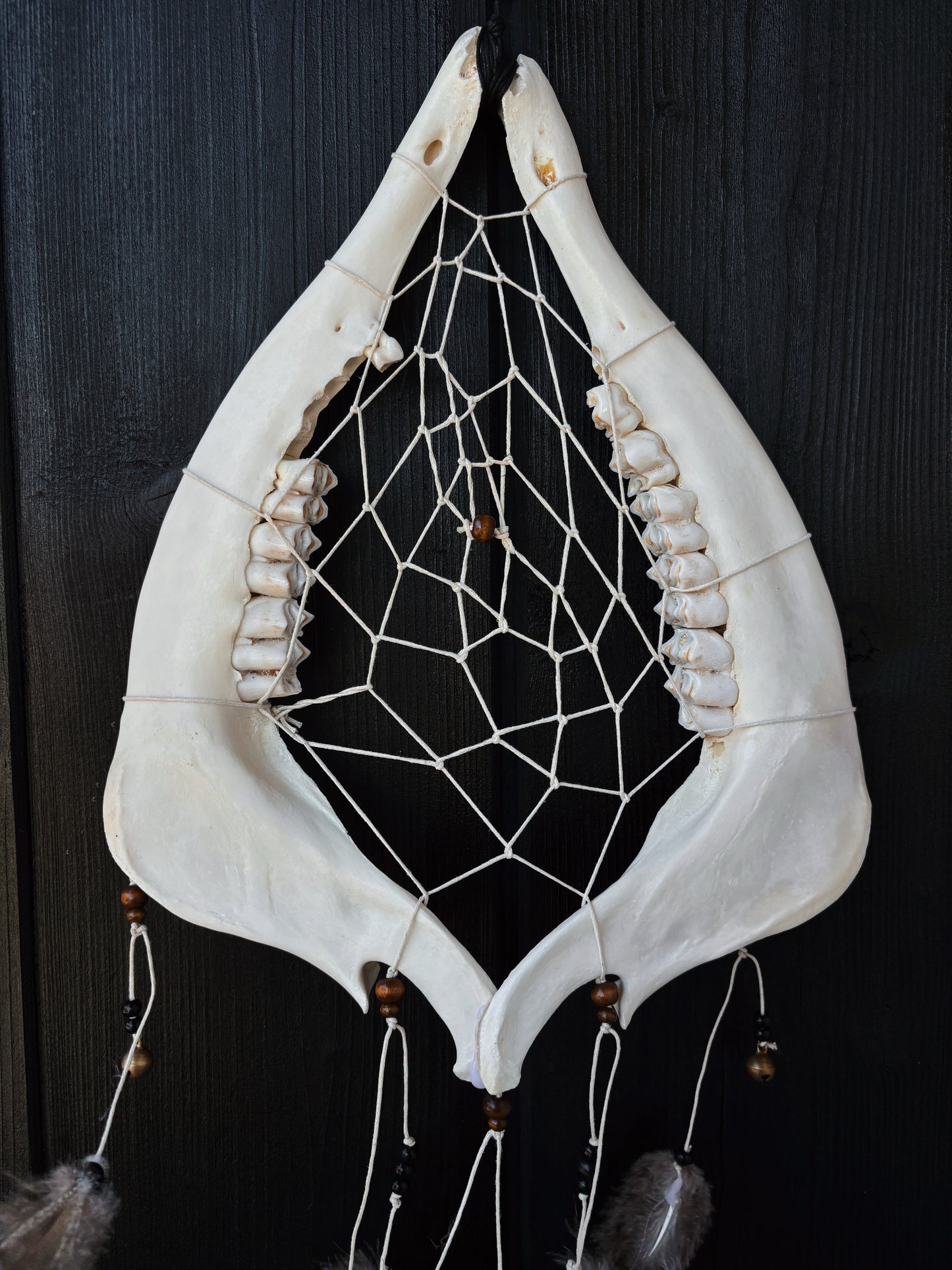 Forest Dreamer - Deer Jaw Dreamcatcher big