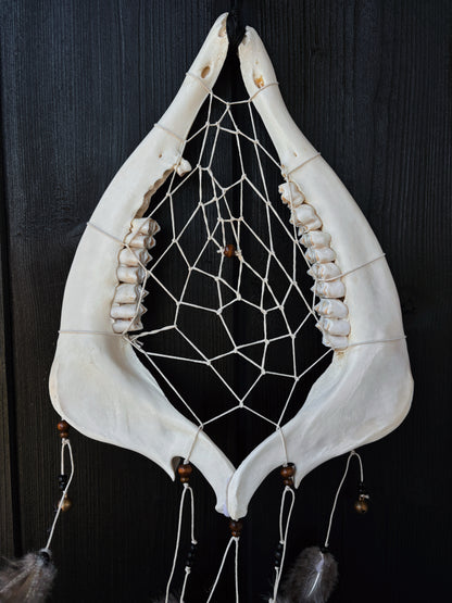 Forest Dreamer - Deer Jaw Dreamcatcher big