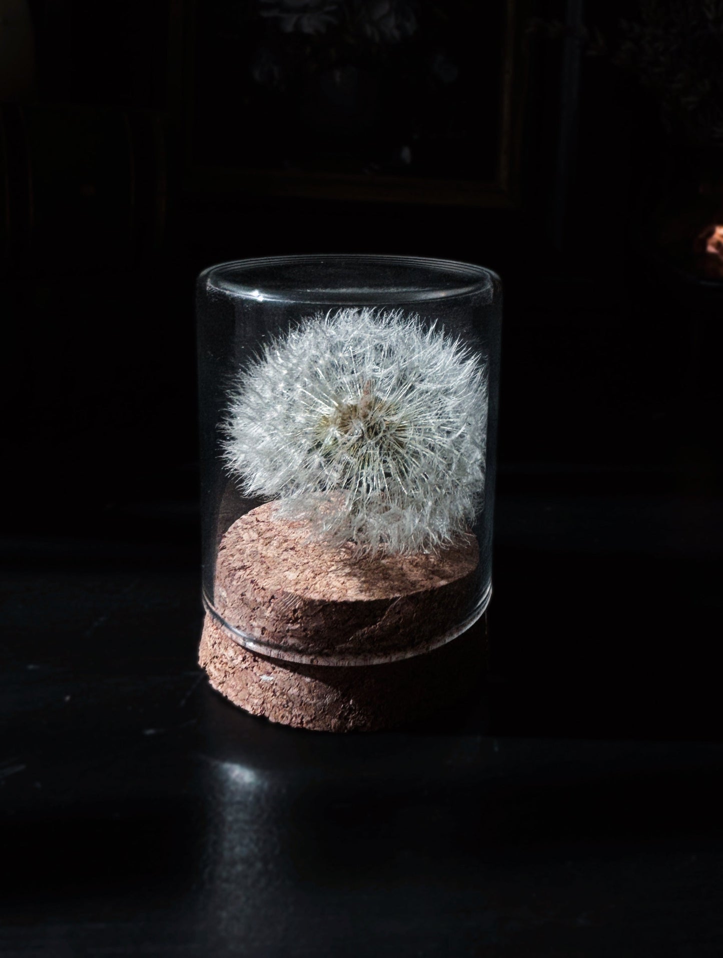 Wishkeeper – Dandelion in Glass (6 cm)