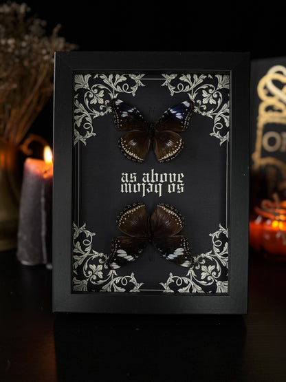 "As Above - So Below" | Hypolimnas Bolina Occult Display (18x13cm)